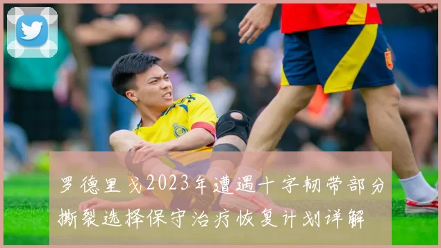 罗德里戈2023年遭遇十字韧带部分撕裂选择保守治疗恢复计划详解